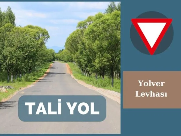 Tali yol