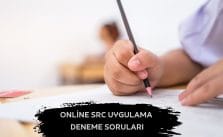 Online Src Deneme Soruları